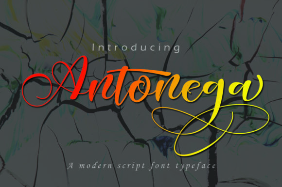 Antonega: A Premium Script Font for Campaigns