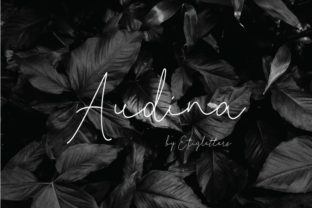 Audina: A Stylish Script Font for Brand Identity