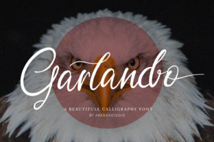 Garlando: An Elegant Script Font for Editorial Design