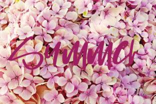 Summer: A Charming Script Font for Your Brand