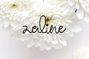 Zaline: A Sweet Script Font for Modern Branding